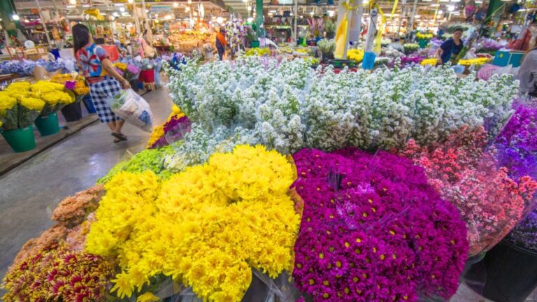 Puestos de flores de colores en un mercado de Tailandia
