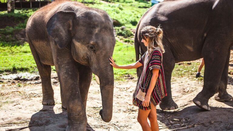 Viajera junto a unos elefantes en Tailandia