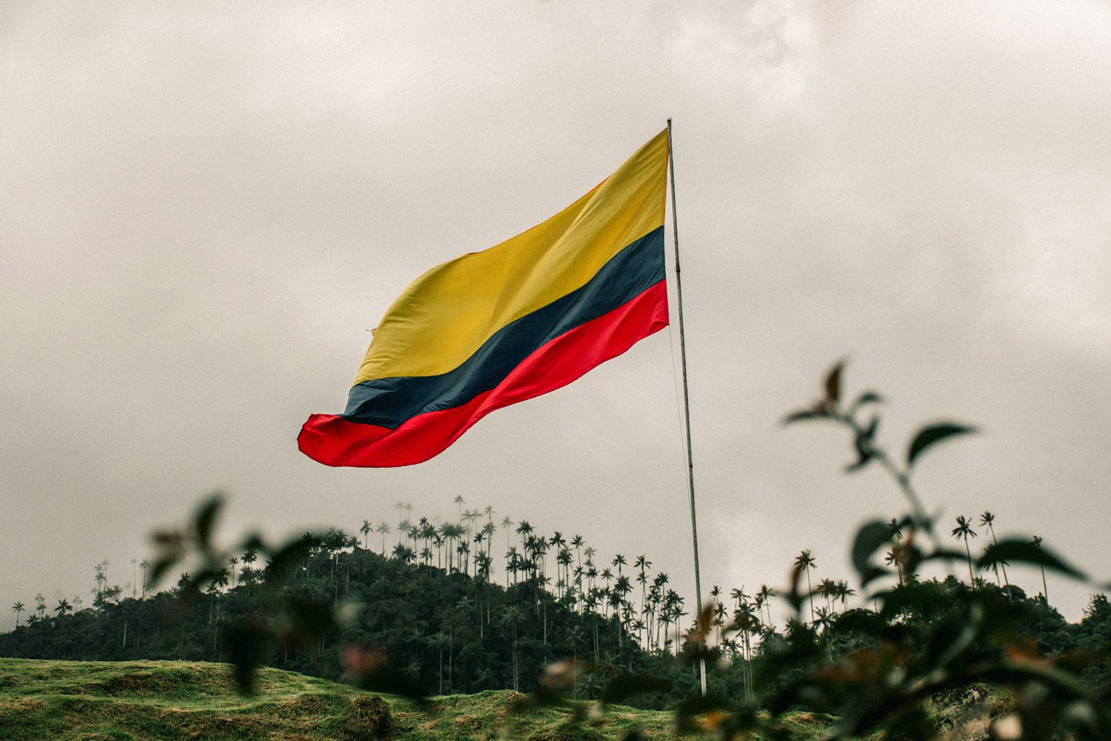 Bandera de Colombia ondeando sobre un paisaje verde de montaña