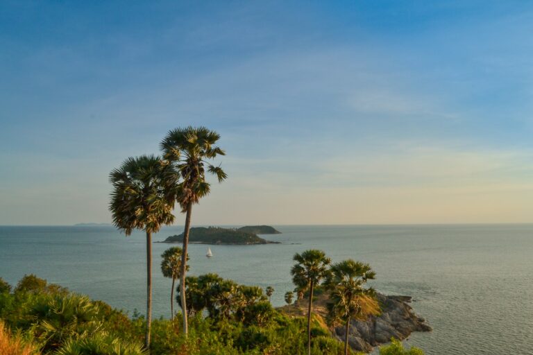 Palmeras y mar en el cabo Promthep, en el sur de Phuket