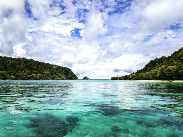 Aguas cristalinas y vegetación en Koh Rok