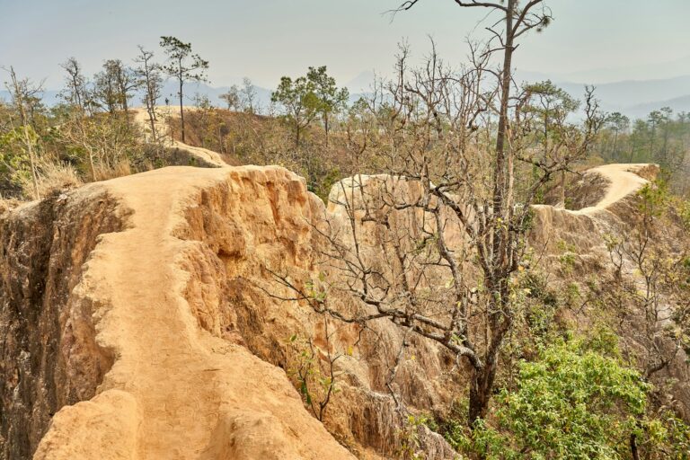 Sendero de tierra sobre las paredes del cañón de Pai